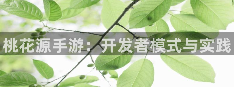 星空娱乐最新网址：桃花源手游：开发者模式与实践