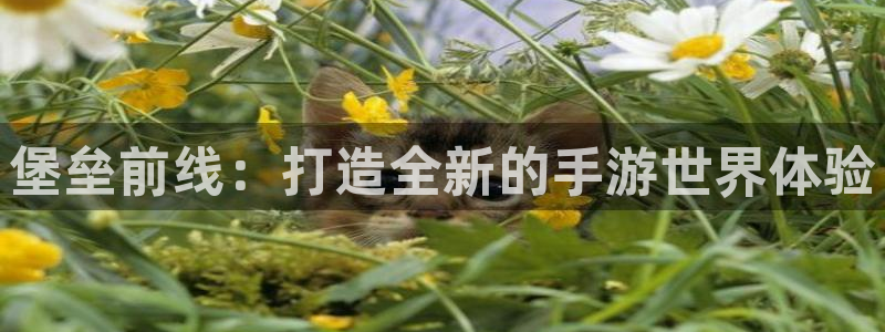 星空娱乐网站：堡垒前线：打造全新的手游世界体验