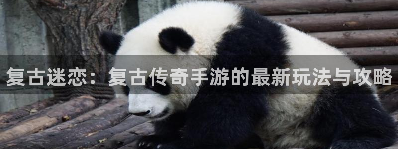 星空电子娱乐：复古迷恋：复古传奇手游的最新玩法与攻略