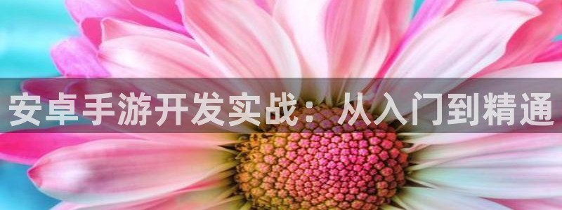 93299星空娱乐官网版：安卓手游开发实战：从入门到精通