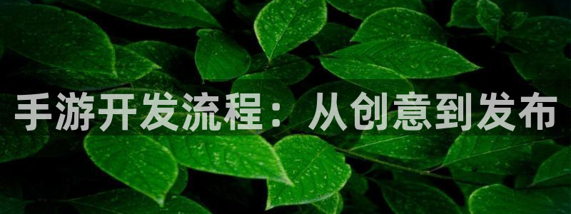 星空娱乐网站：手游开发流程：从创意到发布