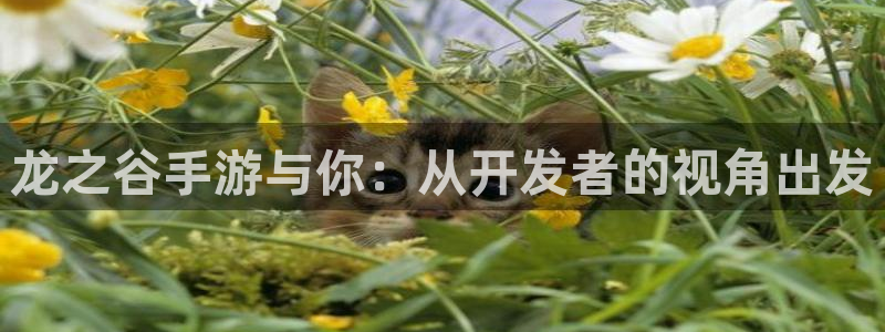 星空娱乐：龙之谷手游与你：从开发者的视角出发