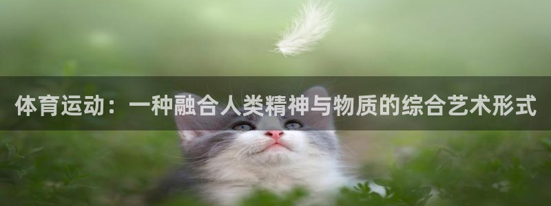 bbin视讯下
