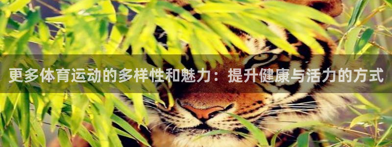 bbin视讯游戏平台