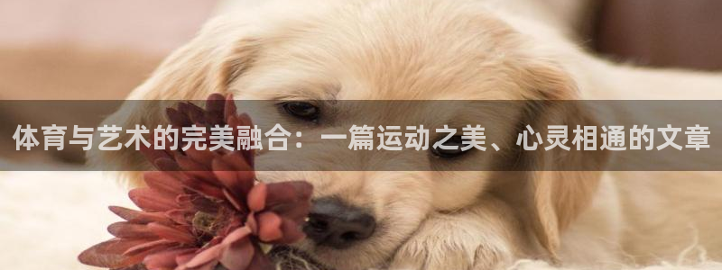 bbin视讯游戏官网