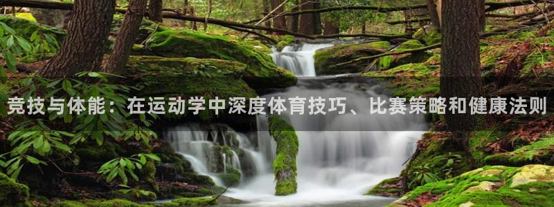 bbin视讯下