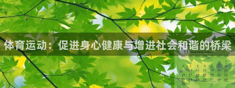 bbin视讯下：体育运动：促进身心健康与增进社会和谐的桥梁