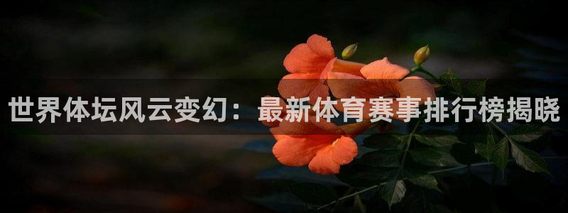 bbin视讯下：世界体坛风云变幻：最新体育赛事排行榜揭晓
