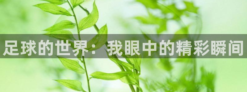 bbin视讯游戏官网