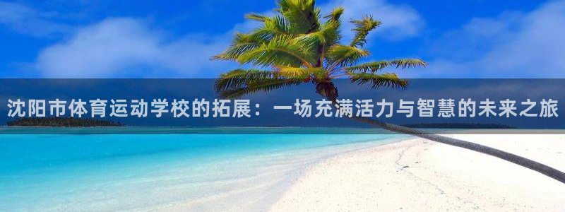 bbin视讯下：沈阳市体育运动学校的拓展：一场充满活力与智慧的未来之旅