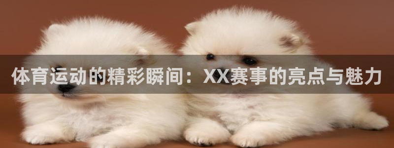 bbin视讯下：体育运动的精彩瞬间：XX赛事的亮点与魅力