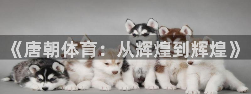 bbin视讯游戏平台