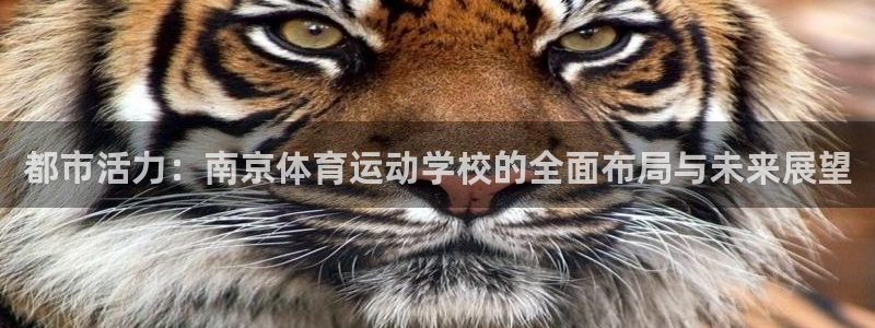 bbin视讯：都市活力：南京体育运动学校的全面布局与未来展望