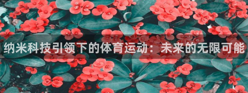 bbin视讯：纳米科技引领下的体育运动：未来的无限可能