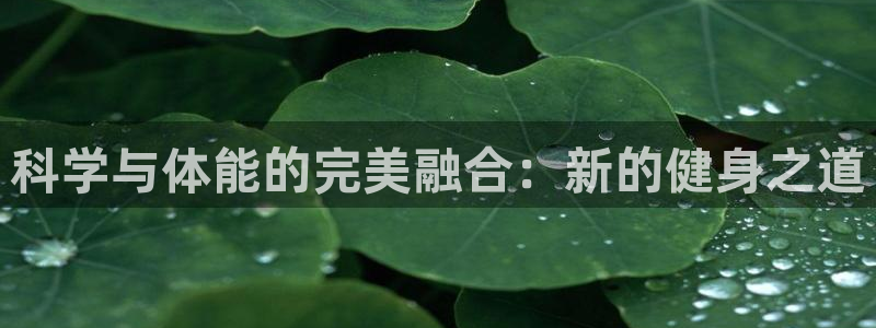 bbin视讯游戏平台：科学与体能的完美融合：新的健身之道